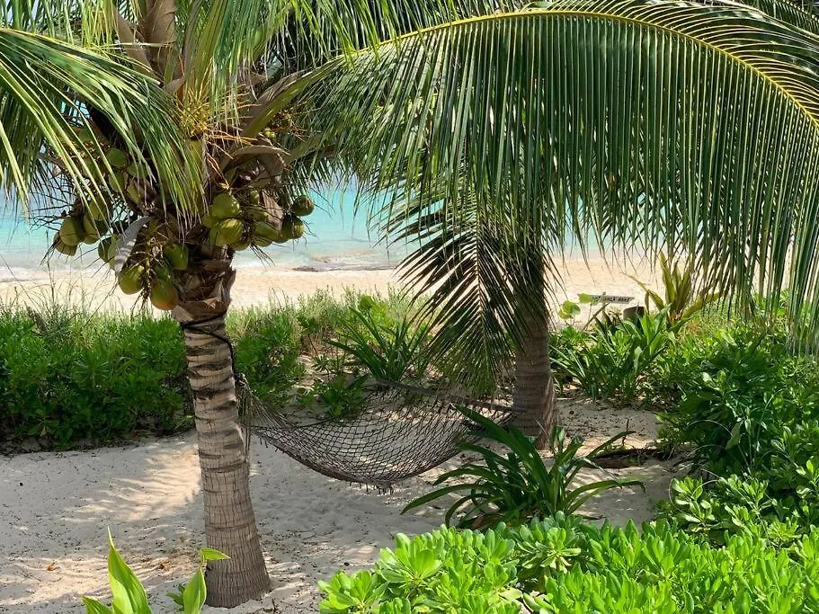 Beach'Nbarefoot Nassau Bahamas